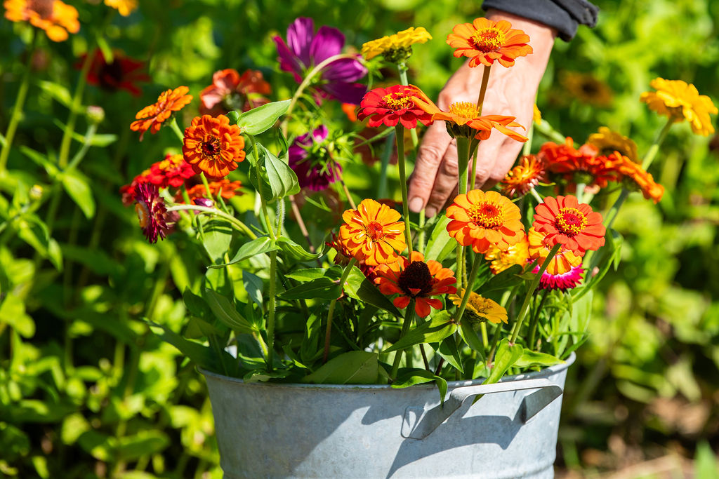 Emmer verse bloemen - groot
