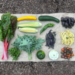 Oogstaandeel Coöperij augustus