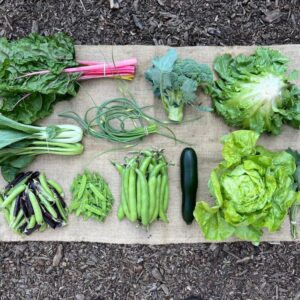 Oogstaandeel Coöperij juni