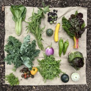 Zomeraandelen Coöperij