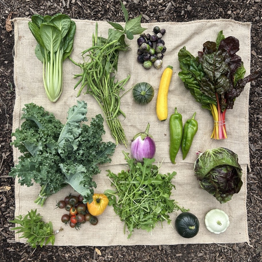 Zomeraandelen Coöperij